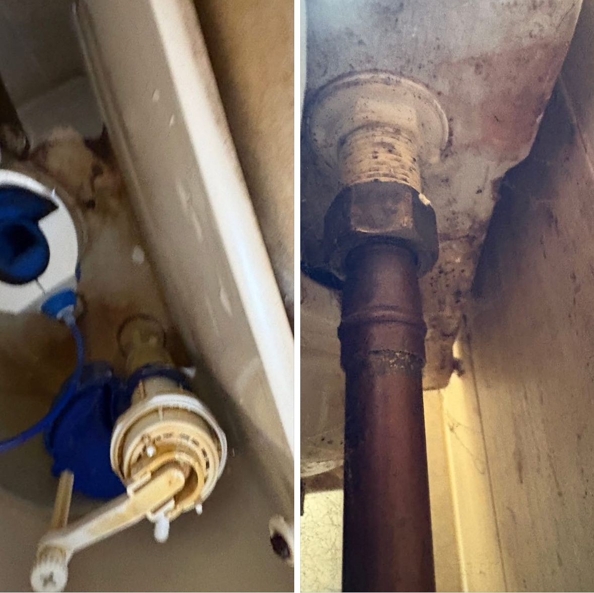 Faulty toilet cistern fill valve and corroded isolation valve — ProFix Home Services Glasgow
